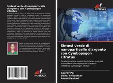 Bookcover of Sintesi verde di nanoparticelle d'argento con Cymbopogon citratus