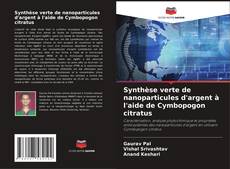 Portada del libro de Synthèse verte de nanoparticules d'argent à l'aide de Cymbopogon citratus