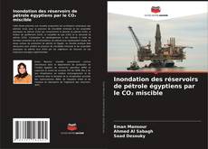 Capa do livro de Inondation des réservoirs de pétrole égyptiens par le CO₂ miscible 