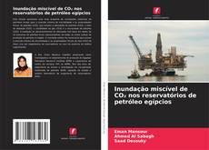 Portada del libro de Inundação miscível de CO₂ nos reservatórios de petróleo egípcios