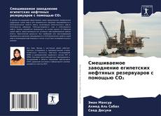 Bookcover of Смешиваемое заводнение египетских нефтяных резервуаров с помощью CO₂