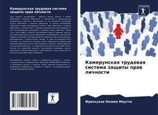 Bookcover of Камерунская трудовая система защиты прав личности