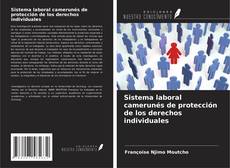 Capa do livro de Sistema laboral camerunés de protección de los derechos individuales 