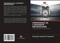 Buchcover von CHRONIQUES DE L'HUMANITÉ : MÉTAHISTOIRE