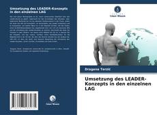 Buchcover von Umsetzung des LEADER-Konzepts in den einzelnen LAG