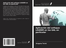 Buchcover von Aplicación del enfoque LEADER en los GAL en particular