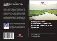 Portada del libro de Biodégradation d'effluents de cokerie riches en phénols et en cyanures