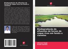 Portada del libro de Biodegradação de efluentes de fornos de coque ricos em fenóis e cianetos