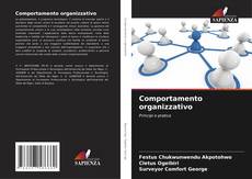 Bookcover of Comportamento organizzativo