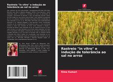 Buchcover von Rastreio "in vitro" e indução de tolerância ao sal no arroz