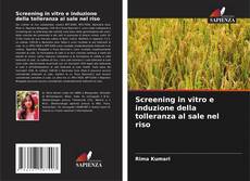 Copertina di Screening in vitro e induzione della tolleranza al sale nel riso