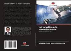 Introduction à la macroéconomie kitap kapağı