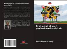 Buchcover von Droit pénal et sport professionnel américain
