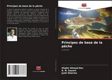 Обложка Principes de base de la pêche