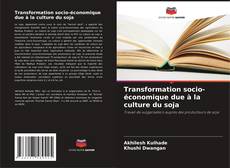 Buchcover von Transformation socio-économique due à la culture du soja