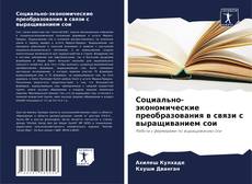 Buchcover von Социально-экономические преобразования в связи с выращиванием сои