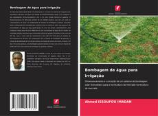 Portada del libro de Bombagem de água para irrigação