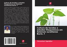 Borítókép a  Cultura de tecidos e estudos fitoquímicos em Solanum surattense Burm. f - hoz