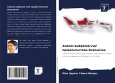 Bookcover of Анализ выбросов CO2 правительством Индонезии