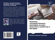 Buchcover von Влияние государственных расходов на рост сельского хозяйства в Нигерии