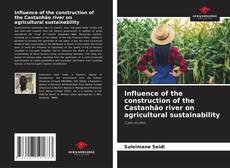 Bookcover of Influence of the construction of the Castanhão river on agricultural sustainability