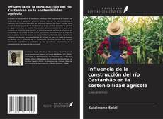 Portada del libro de Influencia de la construcción del río Castanhão en la sostenibilidad agrícola