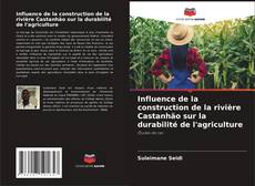 Обложка Influence de la construction de la rivière Castanhão sur la durabilité de l'agriculture