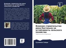 Bookcover of Влияние строительства реки Кастаньон на устойчивость сельского хозяйства