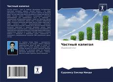 Частный капитал kitap kapağı