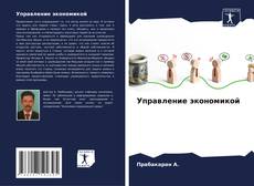 Bookcover of Управление экономикой