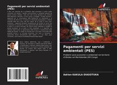 Pagamenti per servizi ambientali (PES) kitap kapağı