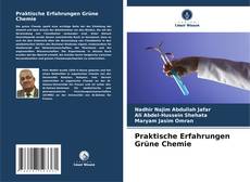 Bookcover of Praktische Erfahrungen Grüne Chemie