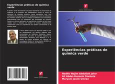 Buchcover von Experiências práticas de química verde