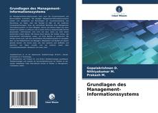 Borítókép a  Grundlagen des Management-Informationssystems - hoz