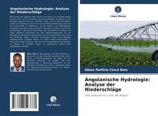 Copertina di Angolanische Hydrologie: Analyse der Niederschläge