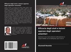 Buchcover von Efficacia degli aiuti e lezioni apprese dagli operatori umanitari