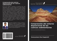 Buchcover von Comprensión del entorno deposicional de las cuencas sedimentarias