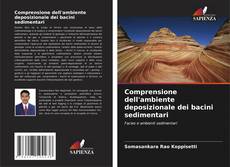 Capa do livro de Comprensione dell'ambiente deposizionale dei bacini sedimentari 