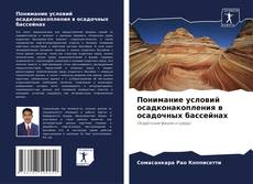 Понимание условий осадконакопления в осадочных бассейнах的封面