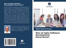 Was ist Agile Software Development Governance?的封面