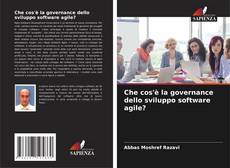 Bookcover of Che cos'è la governance dello sviluppo software agile?