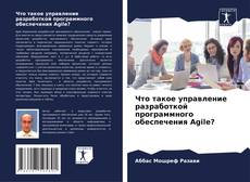 Что такое управление разработкой программного обеспечения Agile? kitap kapağı