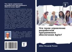 Bookcover of Что такое управление разработкой программного обеспечения Agile?