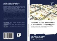 Анализ и оценка финансового и банковского сектора Грузии kitap kapağı