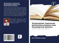 Bookcover of Загрязнение тяжелыми металлами озерных вод Кашмирской долины