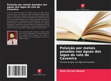 Buchcover von Poluição por metais pesados nas águas dos lagos do vale de Caxemira