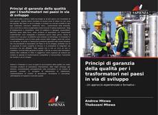 Bookcover of Principi di garanzia della qualità per i trasformatori nei paesi in via di sviluppo