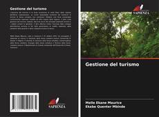Bookcover of Gestione del turismo
