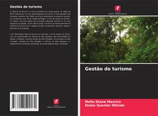 Gestão do turismo kitap kapağı