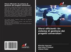 Bookcover of Sforzi efficienti: Un sistema di gestione dei progetti universitari